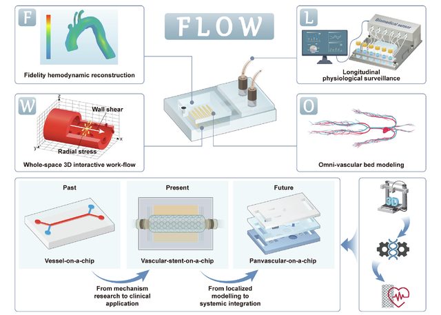 The FLOW Framework panvascular-on-a-chip platform